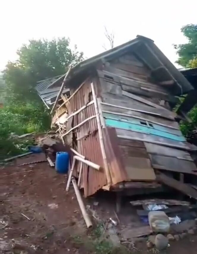 
					Kawanan Gajah Rusak 7 Rumah Warga di Kabupaten Tanggamus