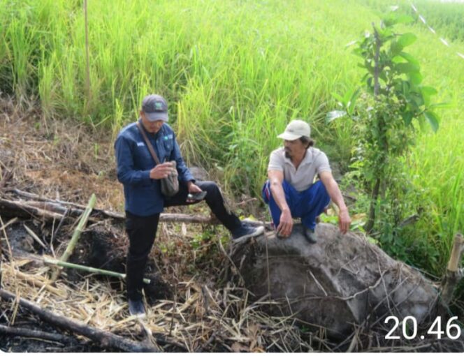 
					Tim WRU Terima Pengaduan Jejak Harimau Yang Ditemukan Di Ladang Warga