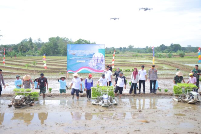 
					Kapolda Lampung Hadiri Gerak Tanam Raya Padi Serentak, Dukung Ketahanan Pangan Nasional