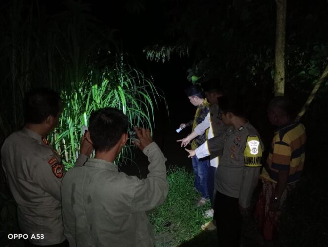 
					Waspada Serangan Buaya di Sungai Way Semaka, Polda Lampung Imbau Warga Lebih Hati-hati