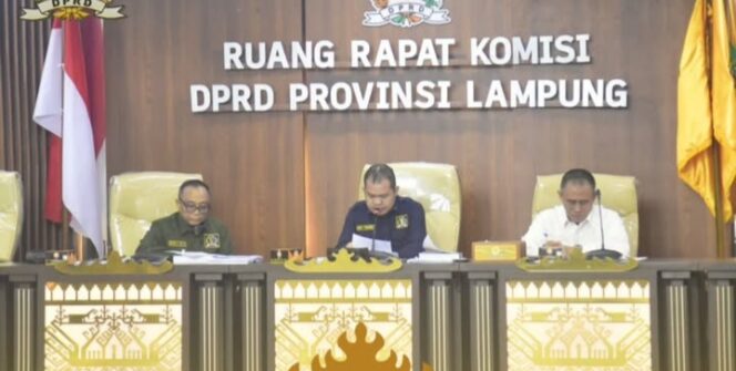 
					Rapat Dengar Pendapat Panitia Khusus Raperda RPJMD