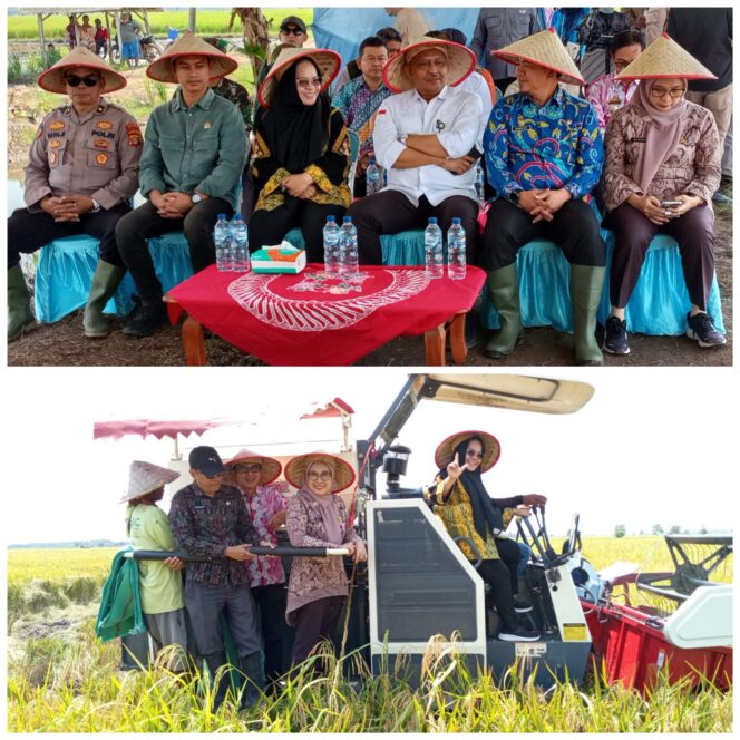 
					Semangat Baru Bergerak di Sektor Pertanian Menuju Swasembada Pangan Kabupaten Mesuji