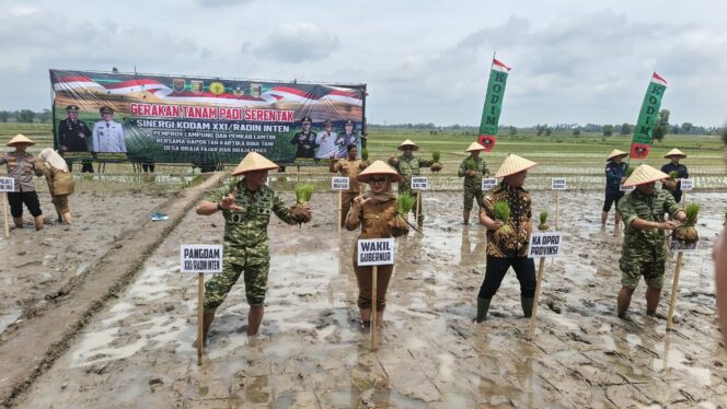
					Tanam Padi Serentak di Lampung Timur, Kodam XXI/Radin Inten Dorong Produksi Pangan