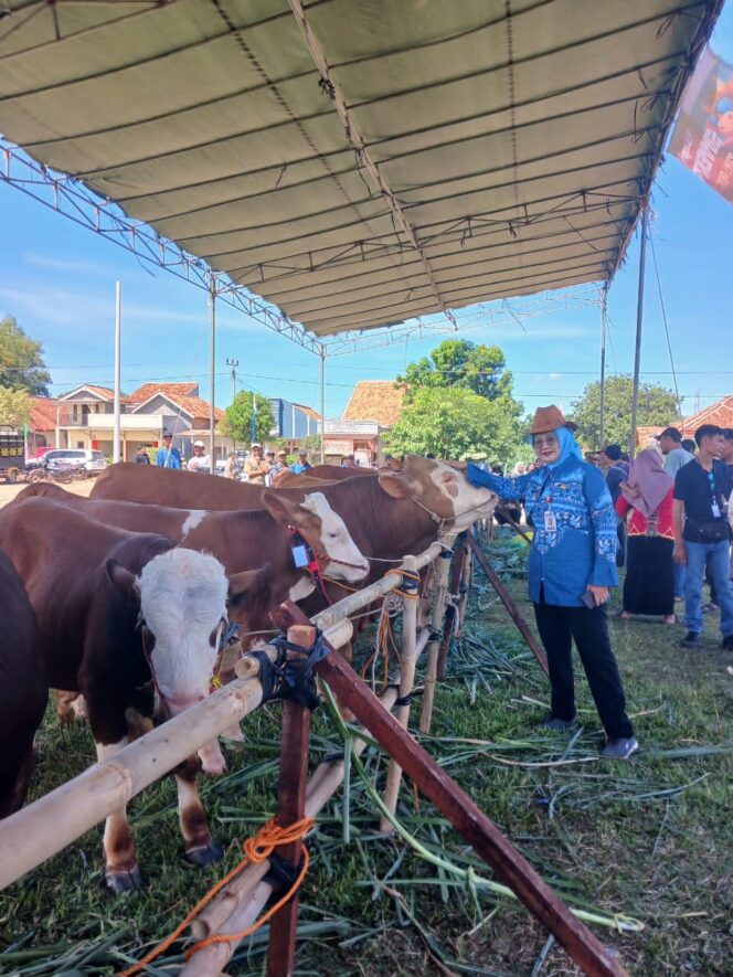 
					Lampung Tetap Aman Daging Sapi, Pemprov Paparkan Data dan Arah Kebijakan Peternakan