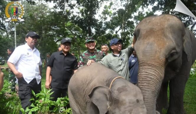 
					Ketua DPRD Lampung A. Giri Akbar Hadiri Kegiatan Gerakan Bersatu Oleh Kodam XX/Raden Inten di TNWK