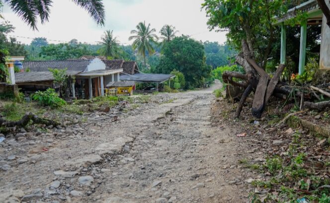 
					Perbaikan Jalan Kasui–Air Ringkih Dorong Konektivitas dan Perdagangan Warga Way Kanan