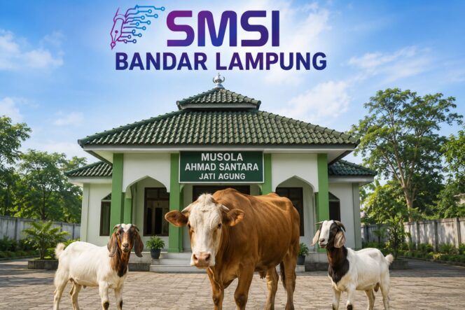
					Iduladha 1447 H, SMSI Bandar Lampung Salurkan 1 Sapi dan 2 Kambing untuk Anggota dan Warga