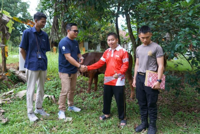 
					Iduladha 1447 H:&nbsp; Pelindo Regional 2 Panjang Salurkan 21 Ekor Hewan Qurban