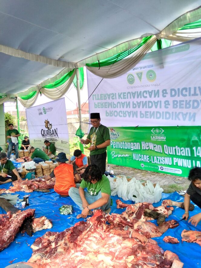 
					Iduladha 1447H: PWNU Lampung Sembelih 10 Sapi dan 2 Kambing, Bagikan 1.328 Paket Kurban