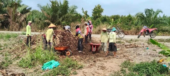 
					Aksi Gotong Royong Masyarakat Desa Pangkal Mas Jaya Gunakan Limbah Kayu Gelam Timbun Jalan Berlubang