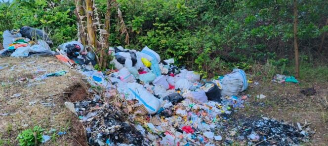 
					Sampah Menumpuk di Galian Tol Karang Sari, Warga Desak Pemkab Lampung Selatan Turun Tangan