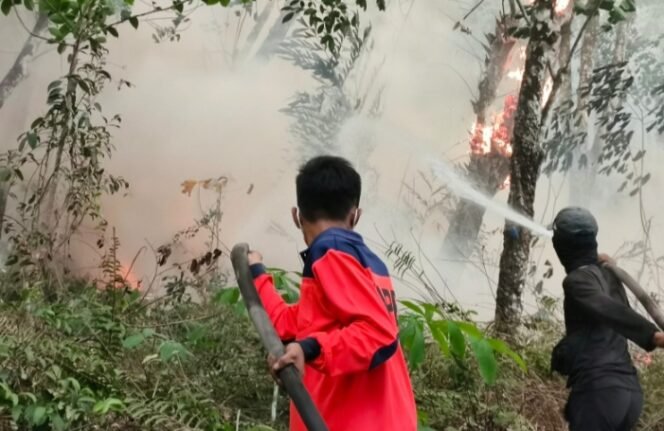 
					Dua Titik Karhutla di Tuba dan Lamteng Terkendali, BPBD Sampaikan Pesan Gubernur: Tingkatkan Kewaspadaan Karhutla